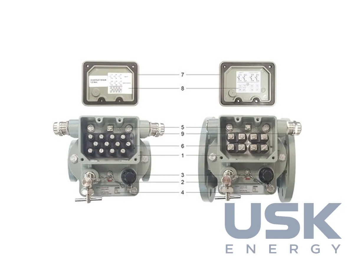 Double-float Buchholz gas relay DN25/50/80 for power transformers and reactors