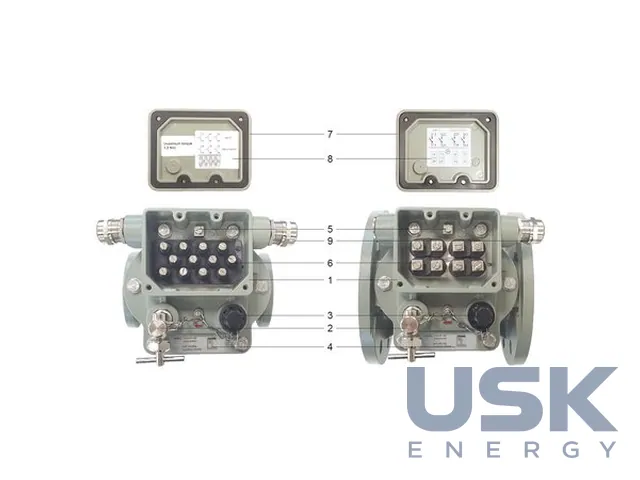 EMB — двопоплавкове газове реле Бухгольца DN25/50/80 для силових трансформаторів і реакторів