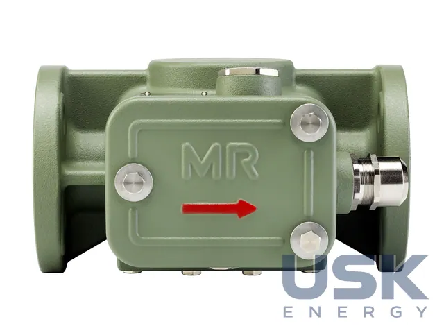 Reinhausen RS2001 / CEDASPE CPR3, OC, e-DMCR — захисні реле РПН і трансформаторів — 5